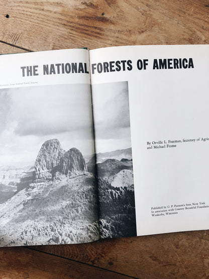 Vintage National Forests of America Book