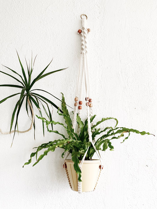 Cotton Macrame Hanger with Pot