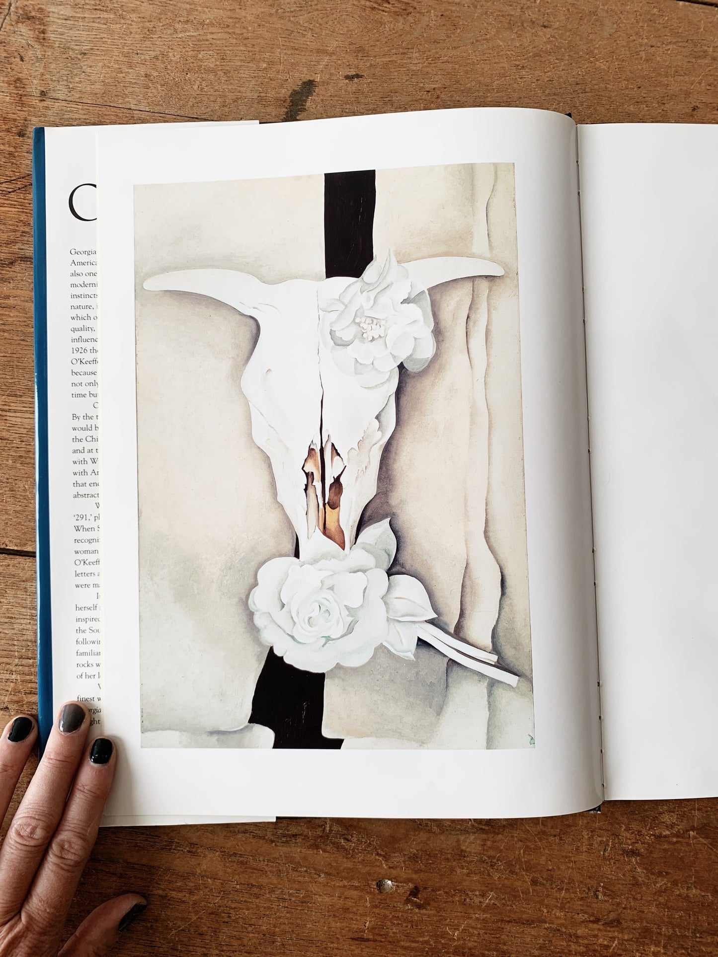 Vintage Georgia O’Keeffe Hardcover Art Book