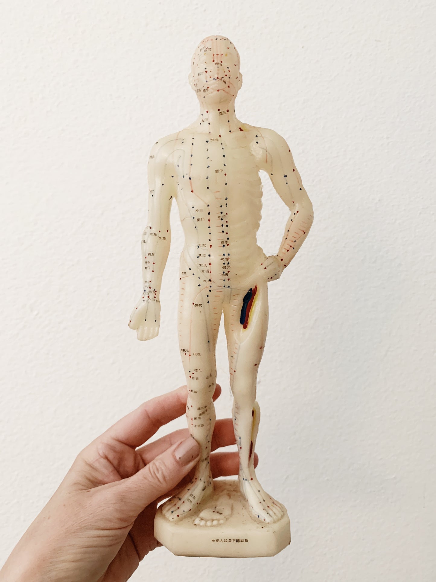 RESERVED Amelia Vintage Acupuncture Model