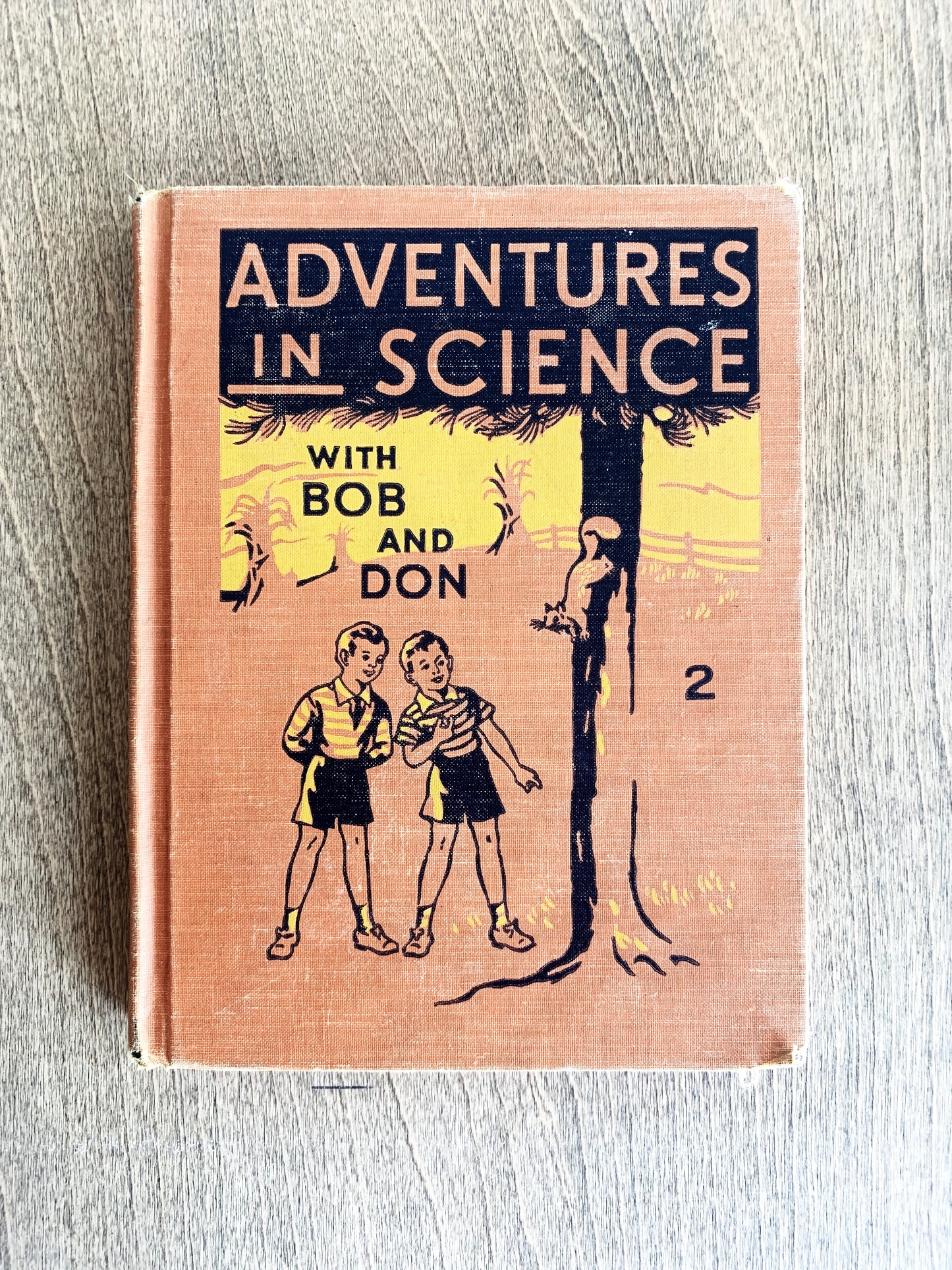 Children’s Schoolbook c1940