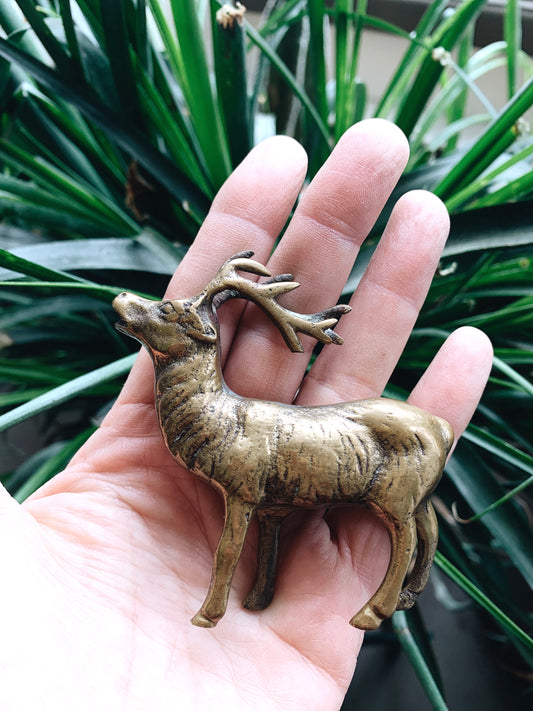 Vintage Brass Buck