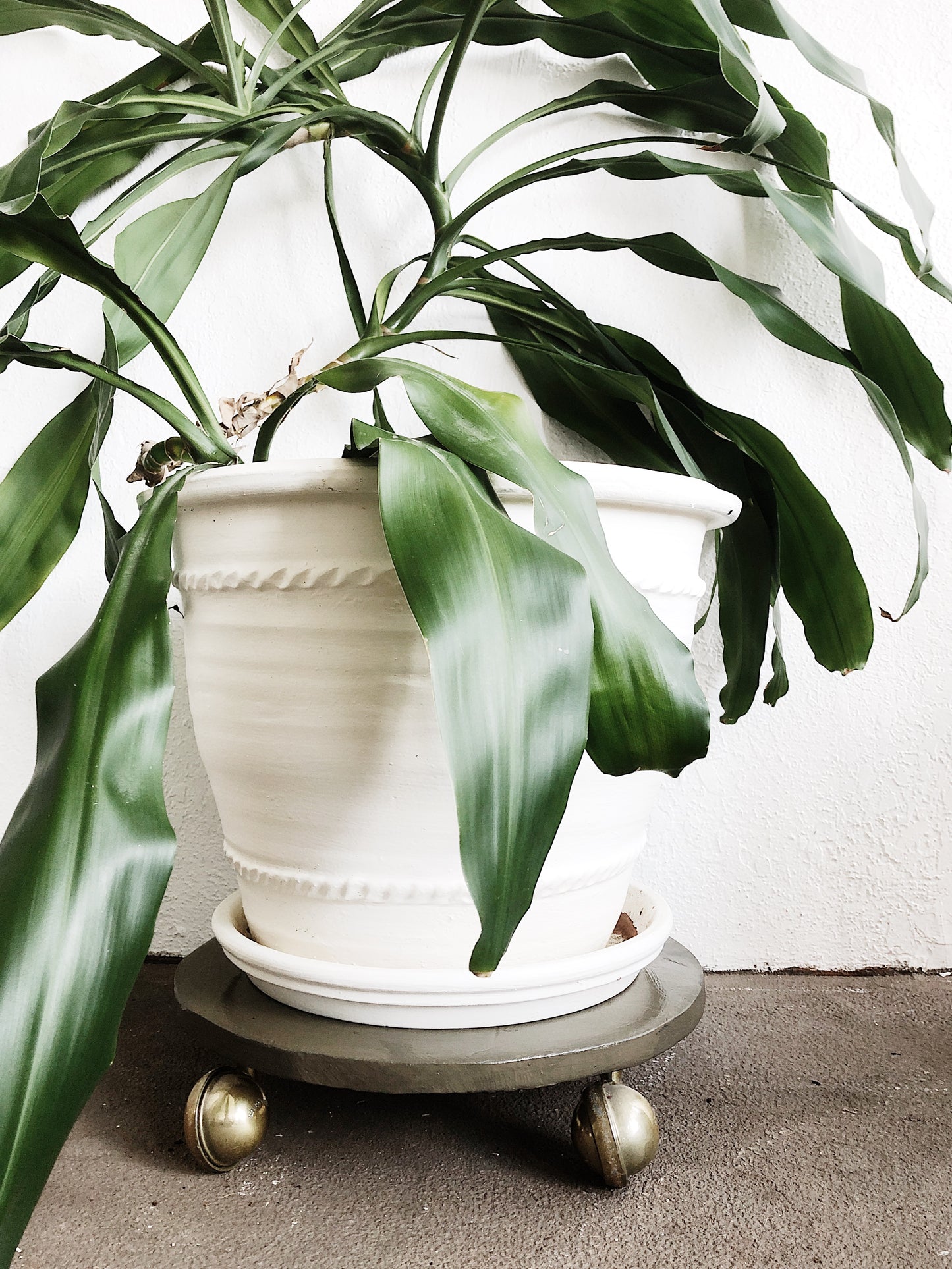 Extra Large Clay Planter