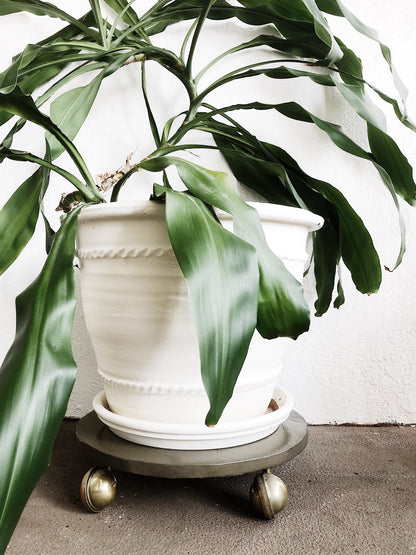 Extra Large Clay Planter