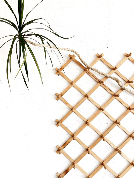 Vintage Giant Expanding Accordion Rack