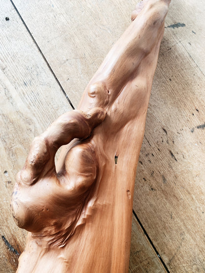 Vintage Hand Crafted Mangrove Root Lamp