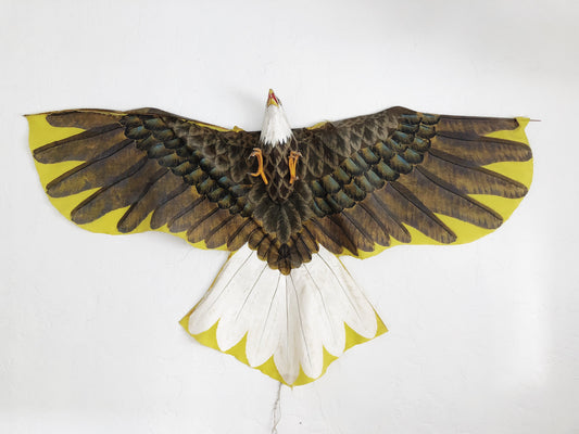 Vintage Eagle Kite