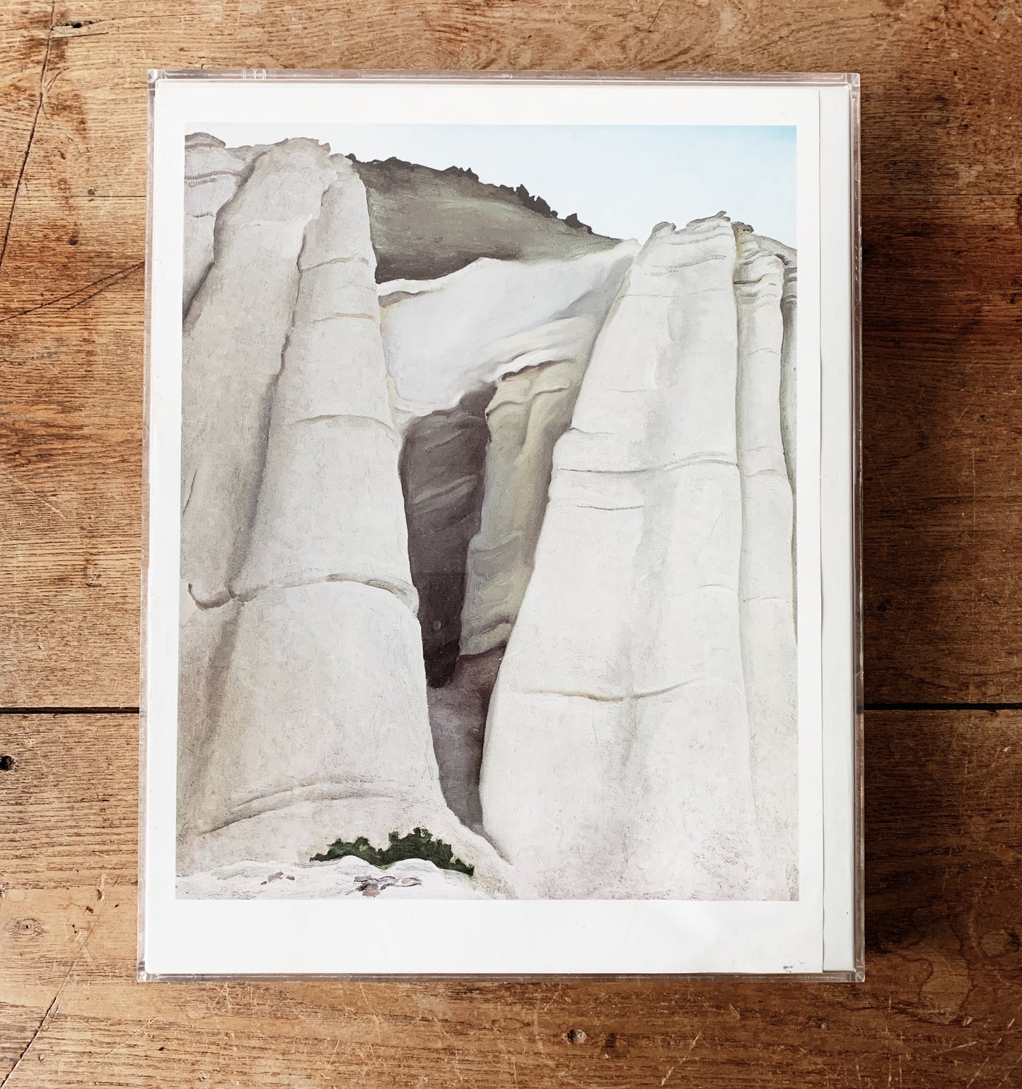 Vintage Georgia O’Keeffe Print