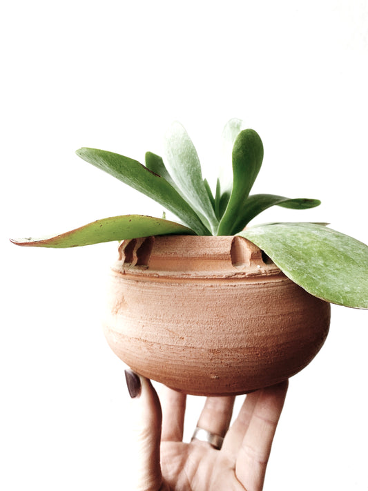 Vintage Handmade Clay Pot