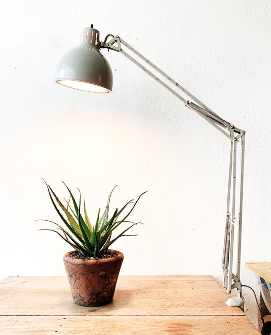 Mid Century Industrial Task Light