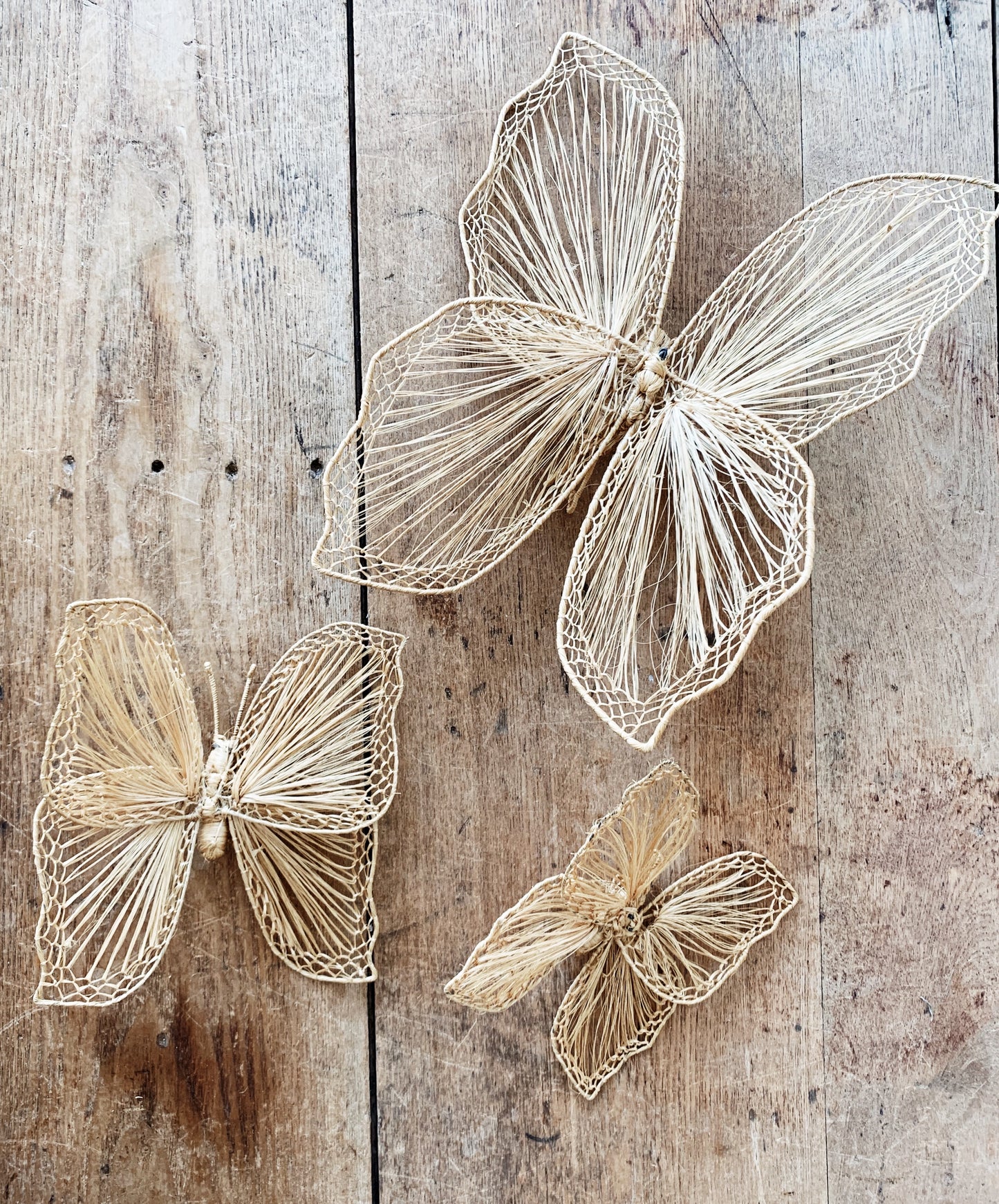 Mid Century Butterflies