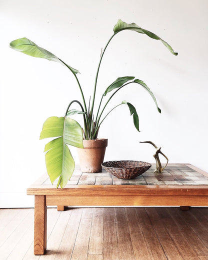 Vintage Danish Teak and Tile Coffee Table