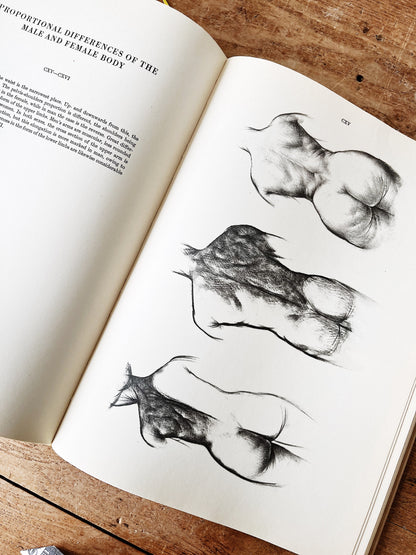 Mid Century Anatomy for the Artist Book