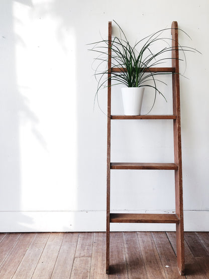 Vintage Wooden Bunk Ladder