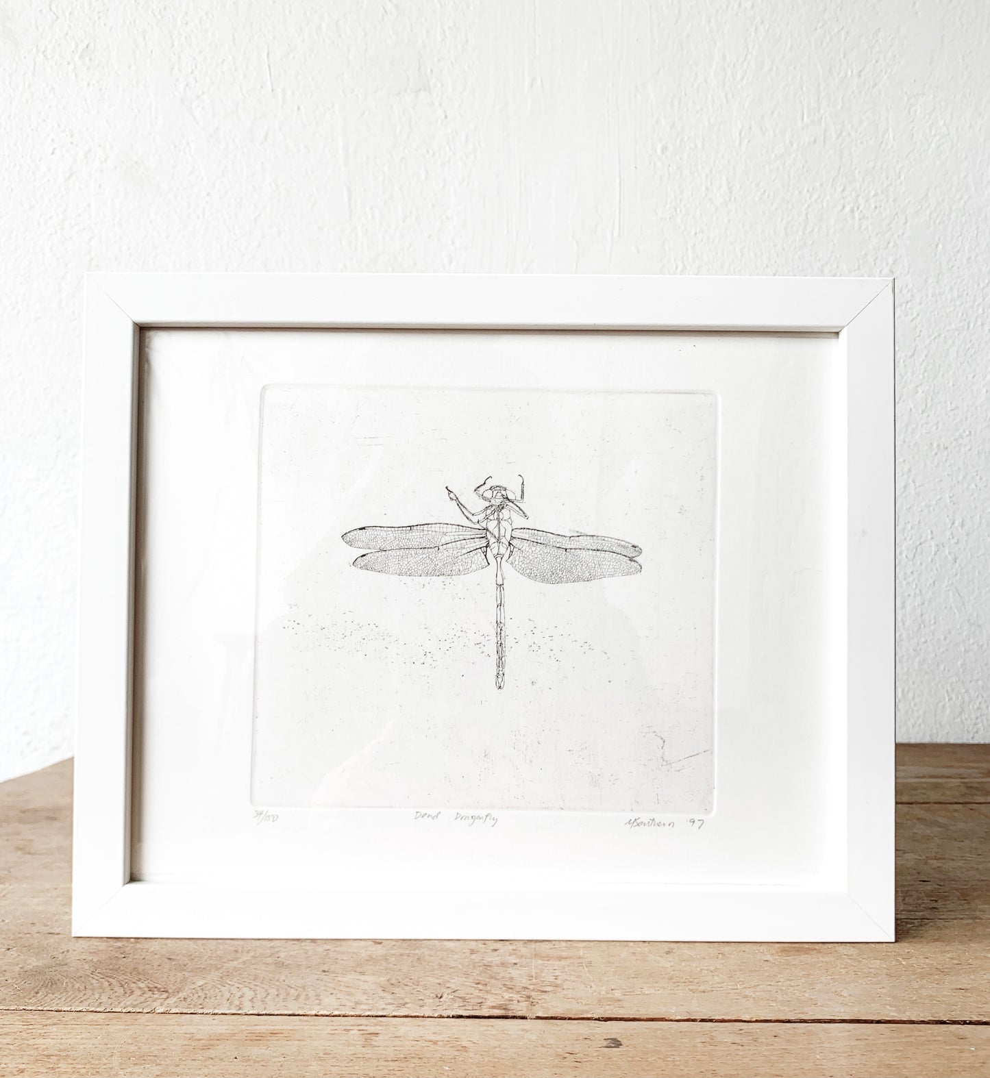 Vintage Framed Dragonfly Etching