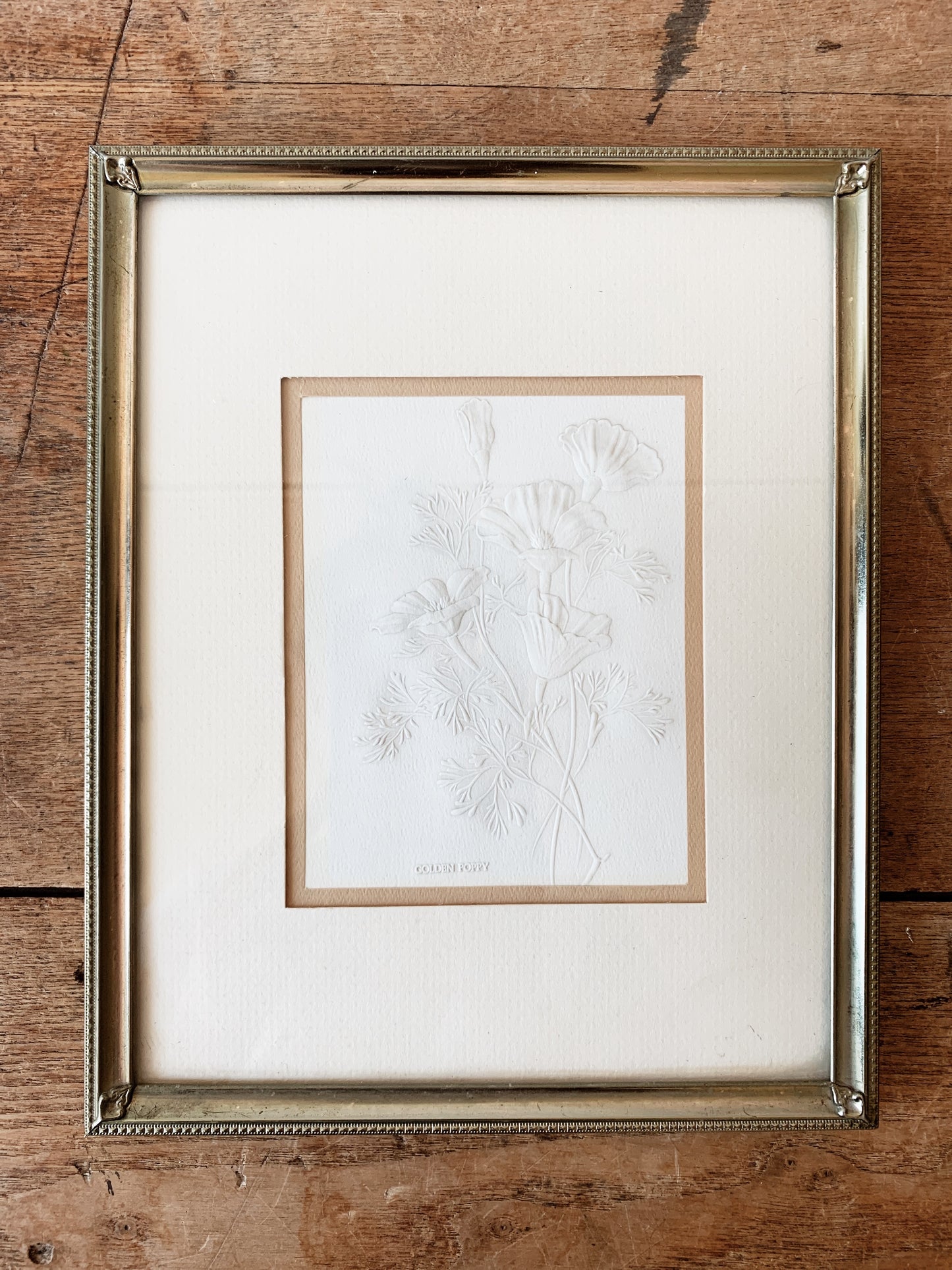 Vintage Golden Poppy Etching