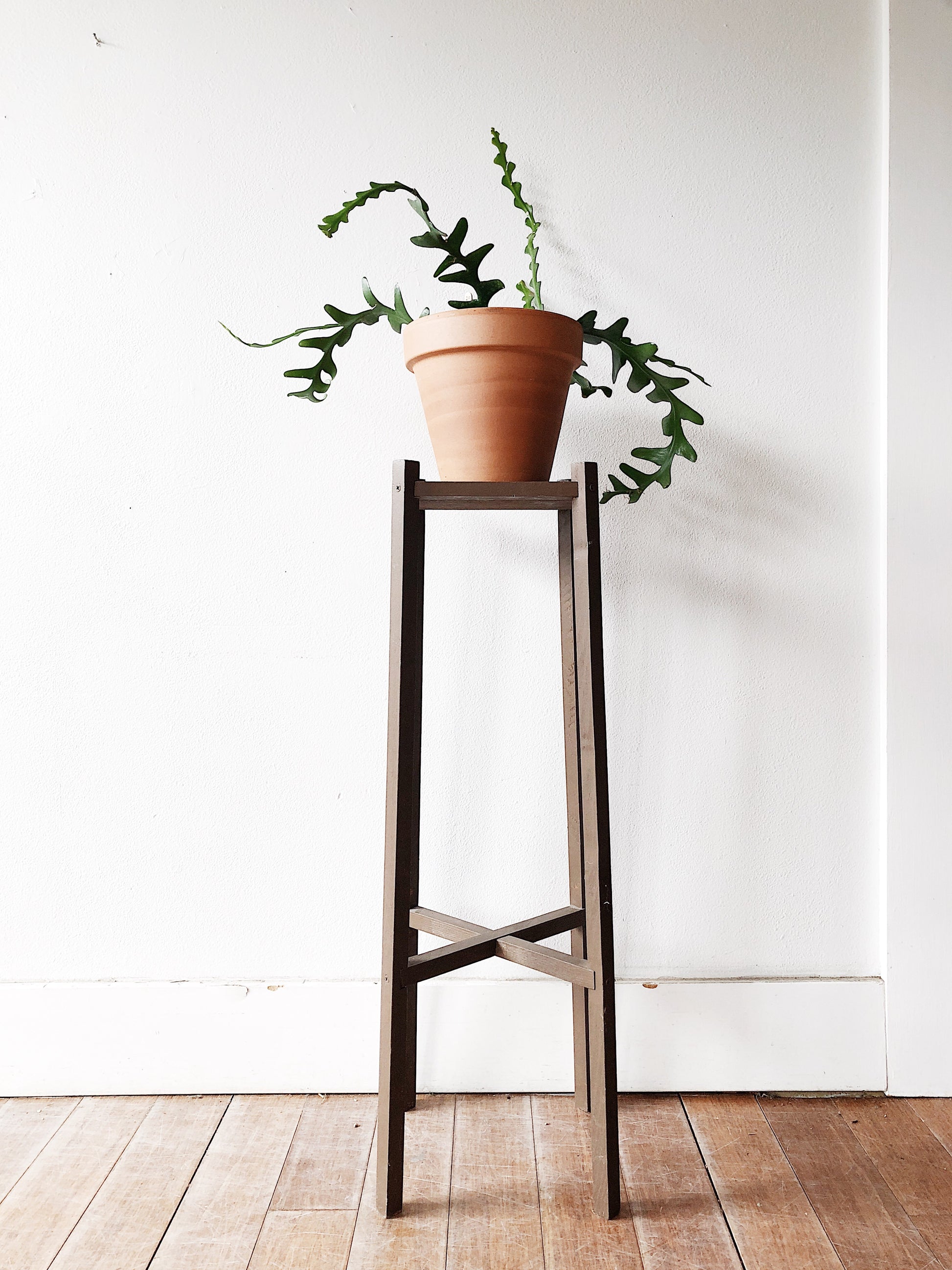 vintage plant stand indoor Vintage Plant Stand