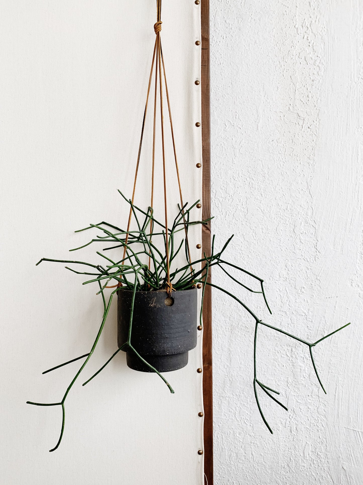 RESERVED Hanging Pot