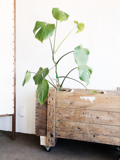 Vintage Industrial Rolling Cart