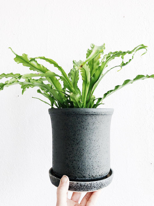 Vintage Mid Century Planter