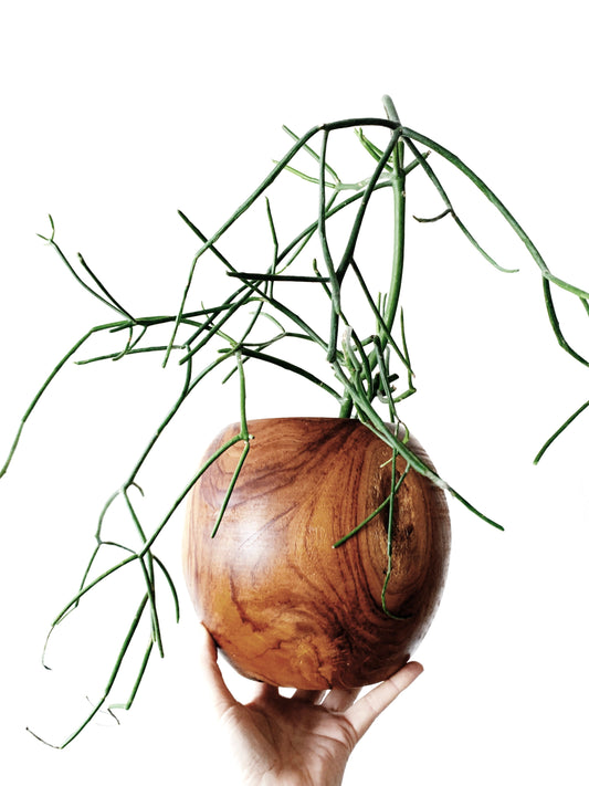 Artisan Made Turned Wood Vessel