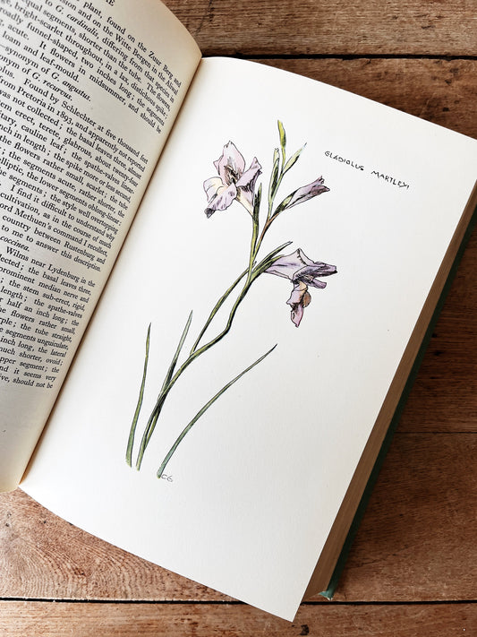 1930s Gardening Books