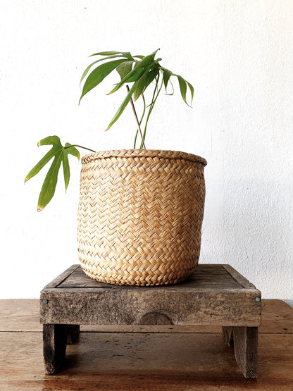 Woven Seagrass Basket