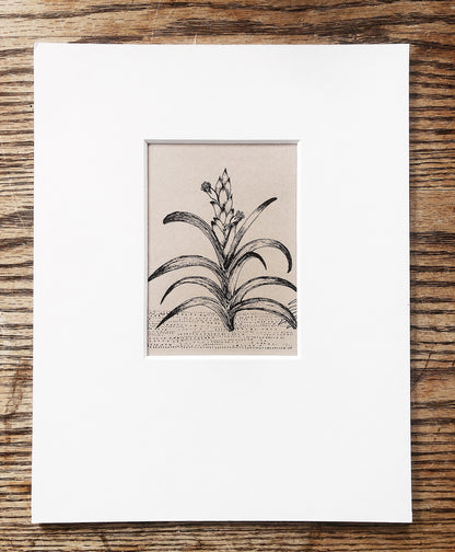 Vintage Win Ng Illustration