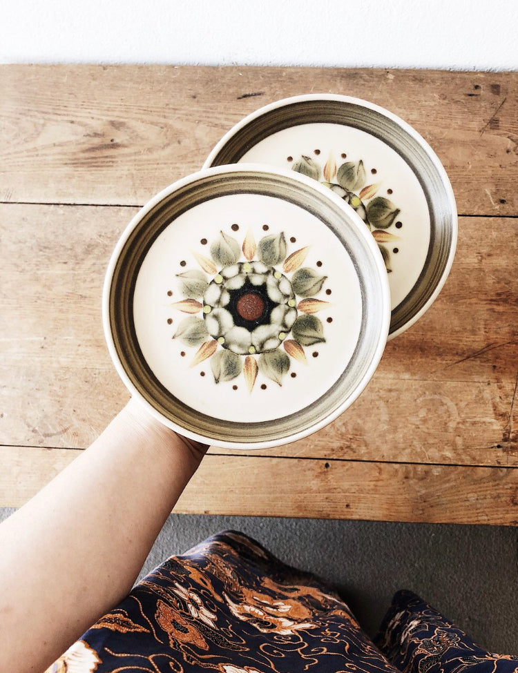 Pair of Mid Century English Plates