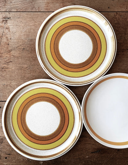 Pair of Mikasa Sun Circles Vintage Plates