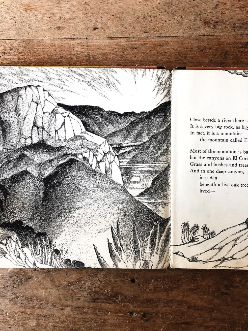 Vintage 1940s Children’s Book