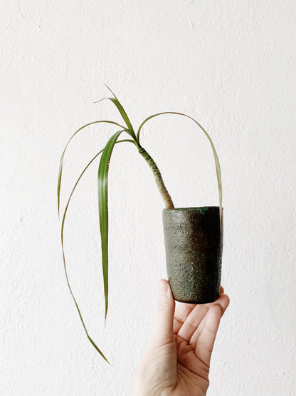 Handmade Pottery Tumbler/Vase