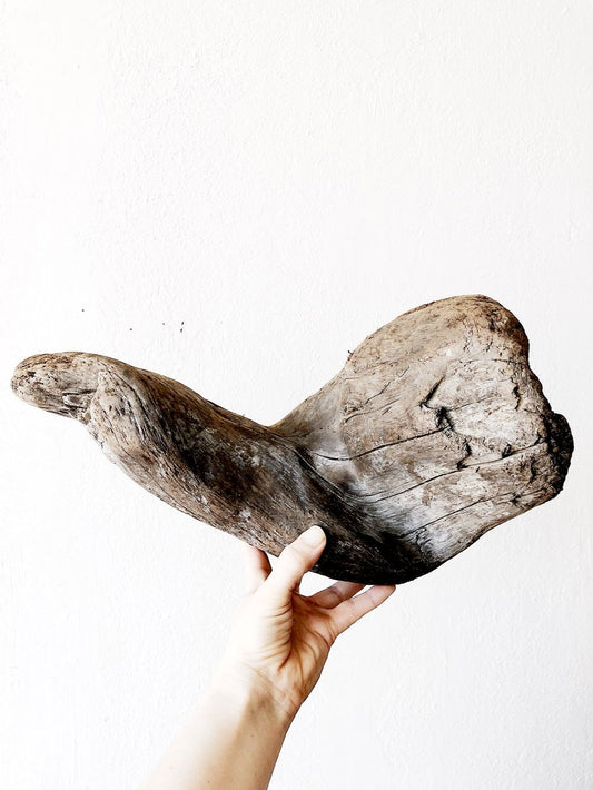 Driftwood Sculpture