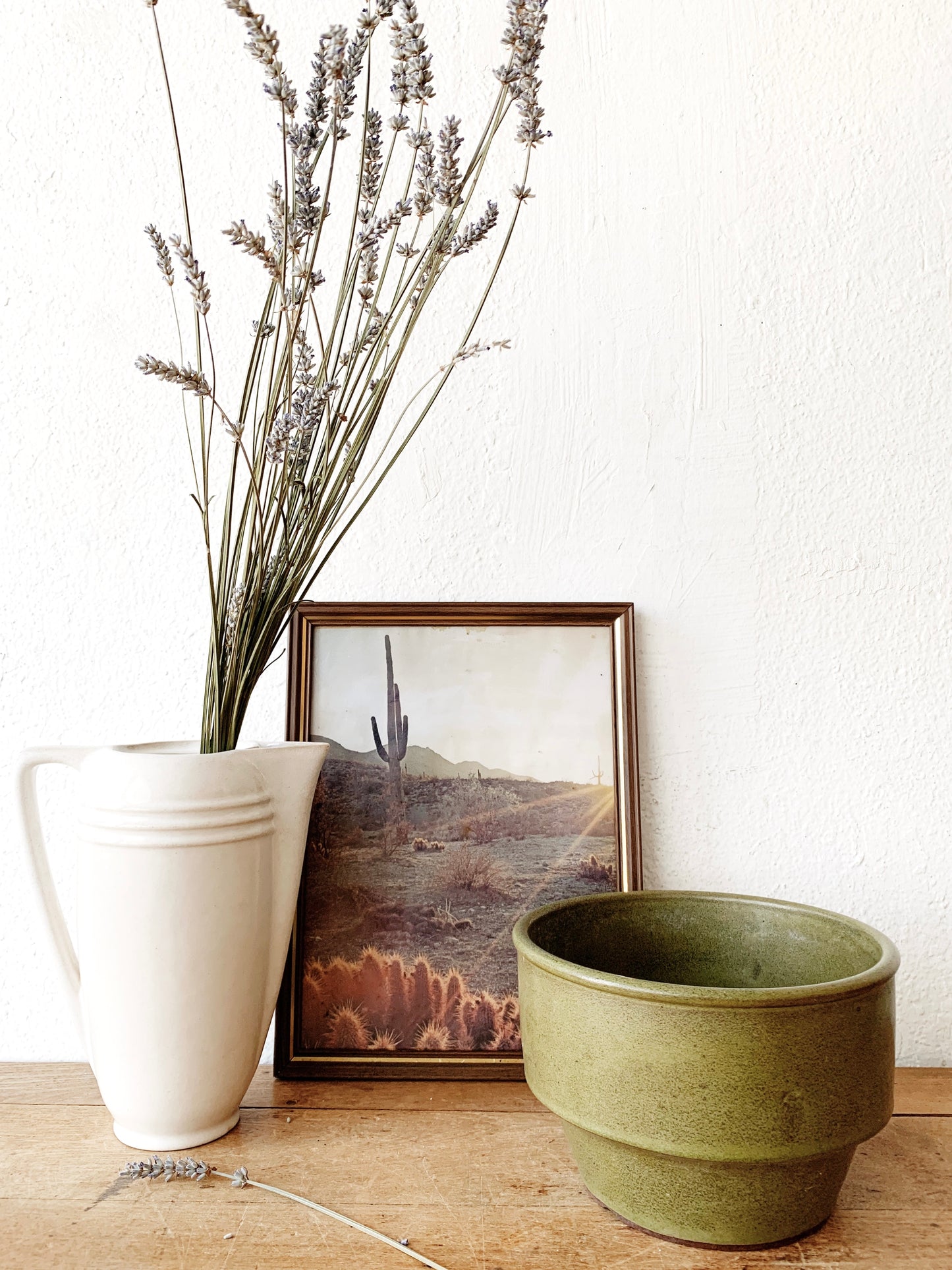 Vintage Framed Desert Print