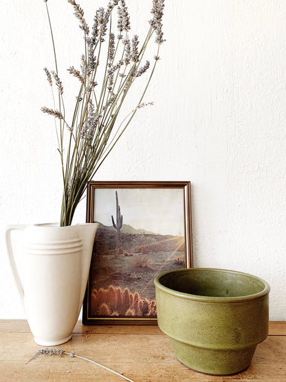 Vintage Framed Desert Print