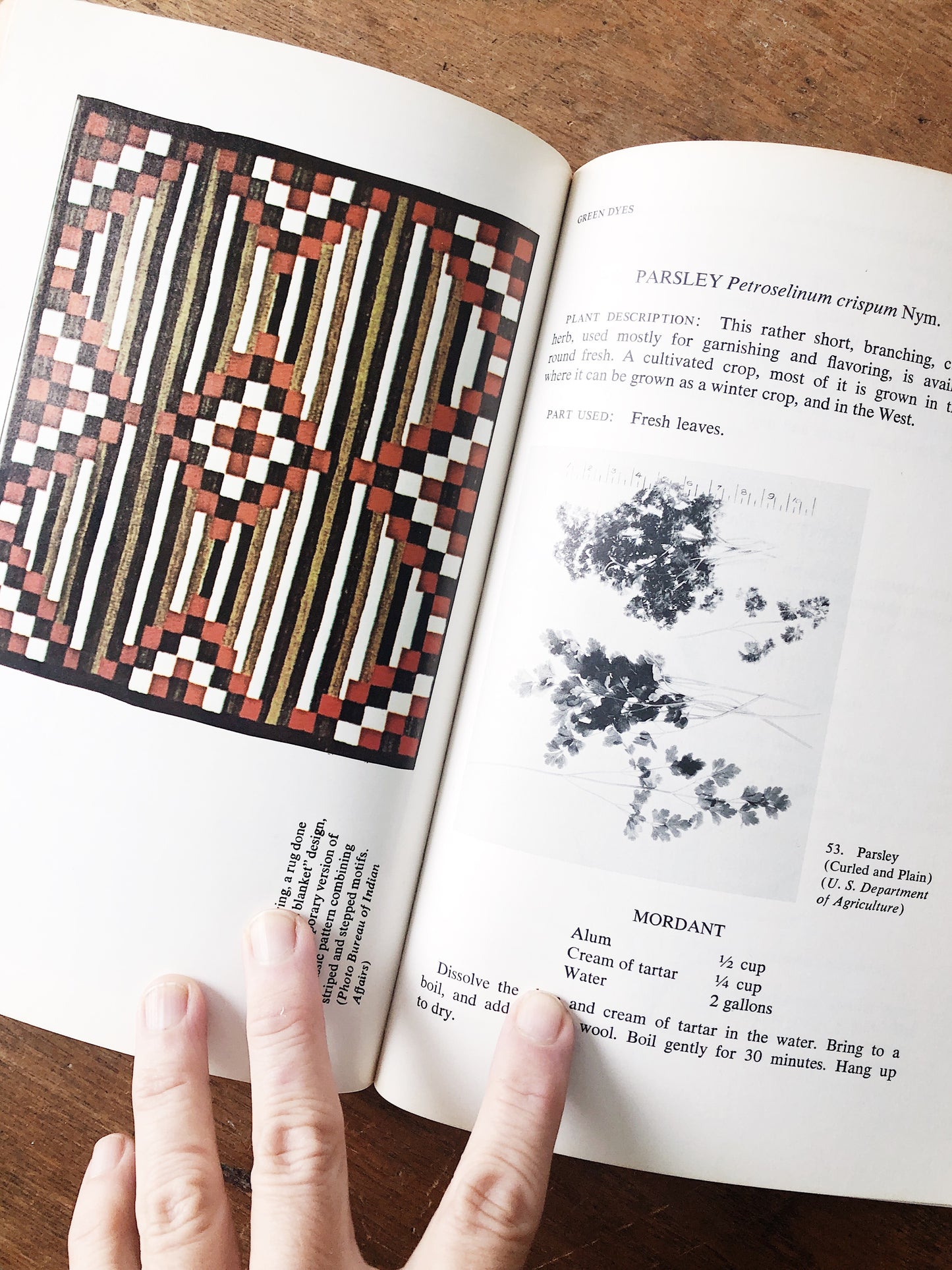 Vintage 1970s Natural Dyes Book