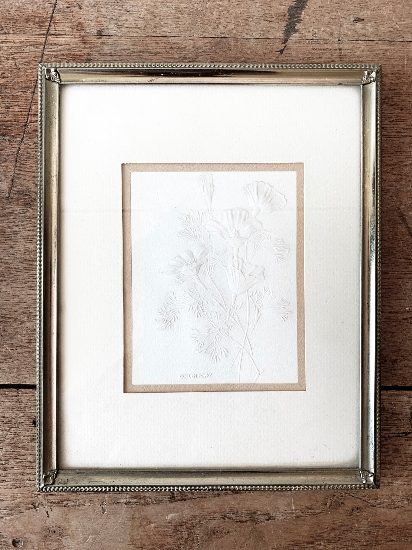 Vintage Golden Poppy Etching