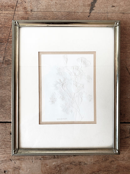 Vintage Golden Poppy Etching