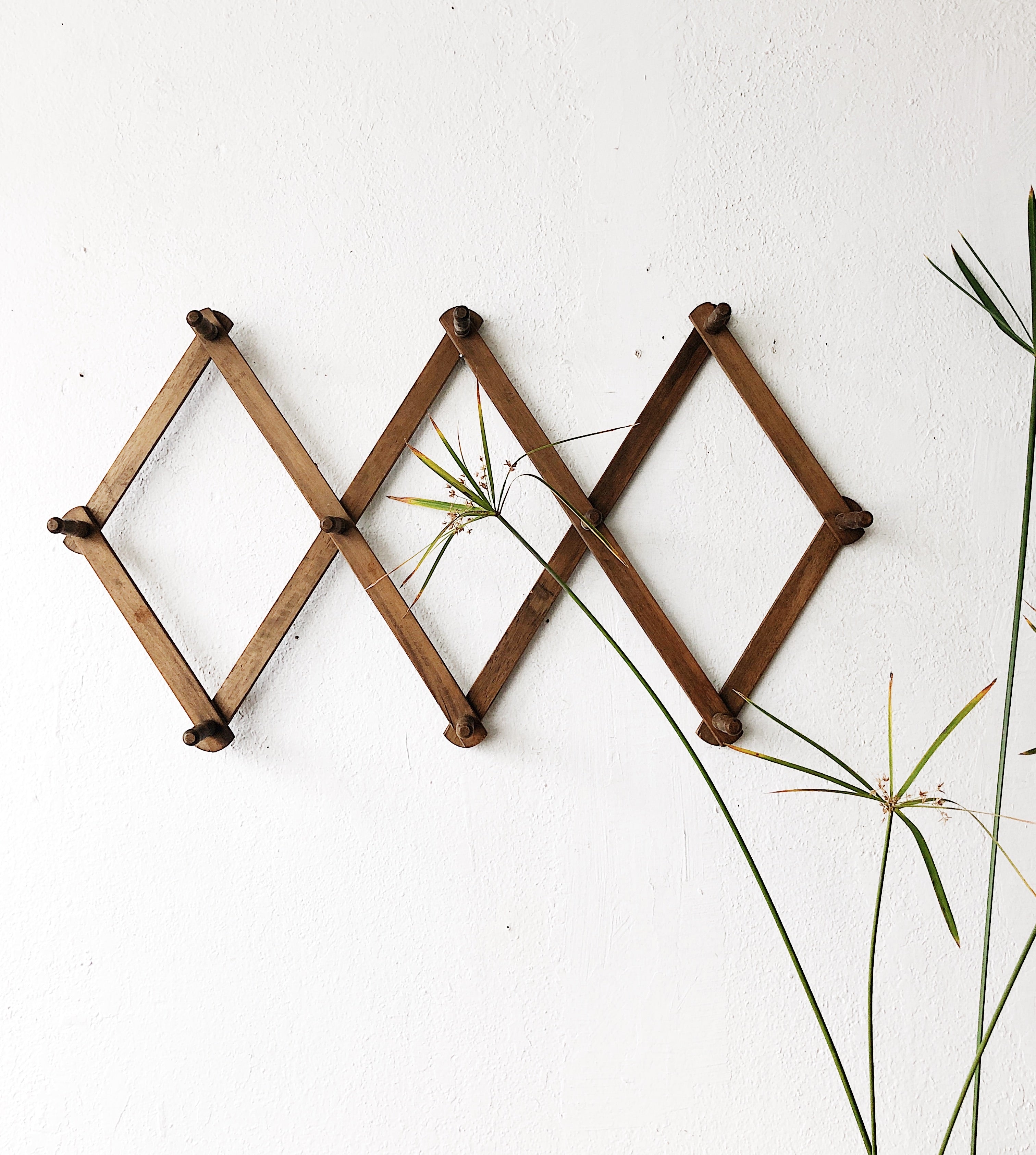 Maven Collective Accordion Rack