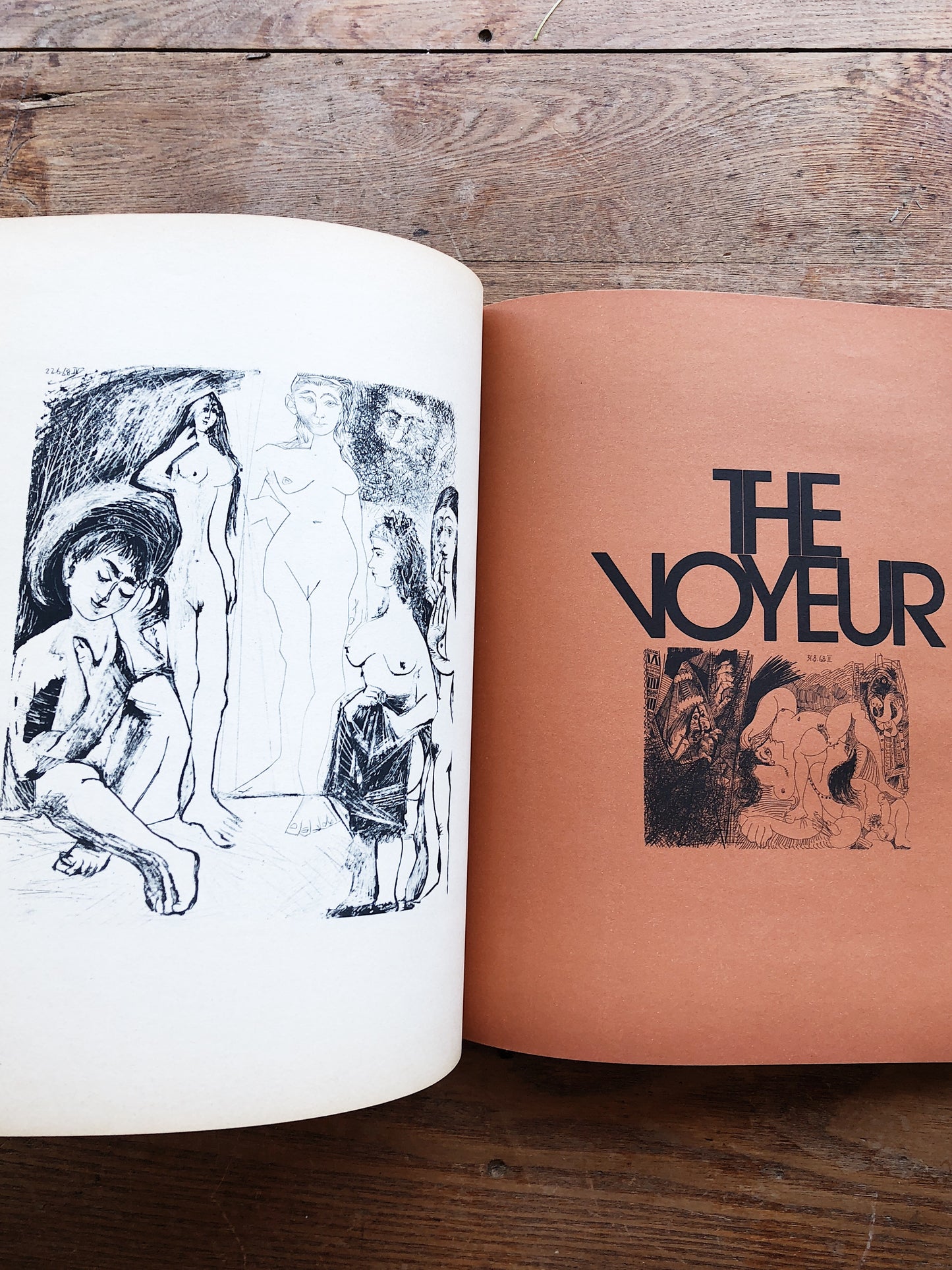 Avant Garde Picasso Erotic Gravures Art Book
