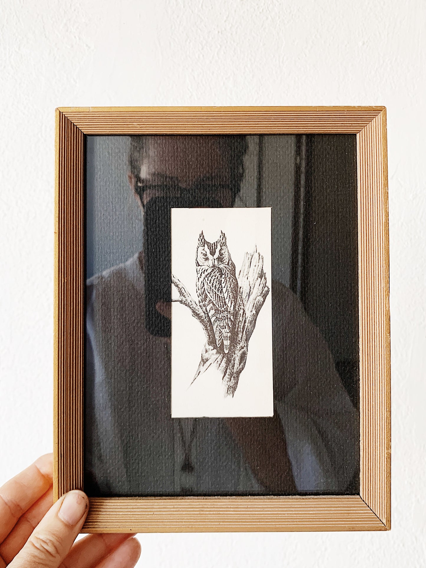 Vintage Framed Owl Print