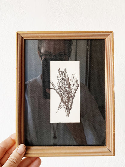 Vintage Framed Owl Print