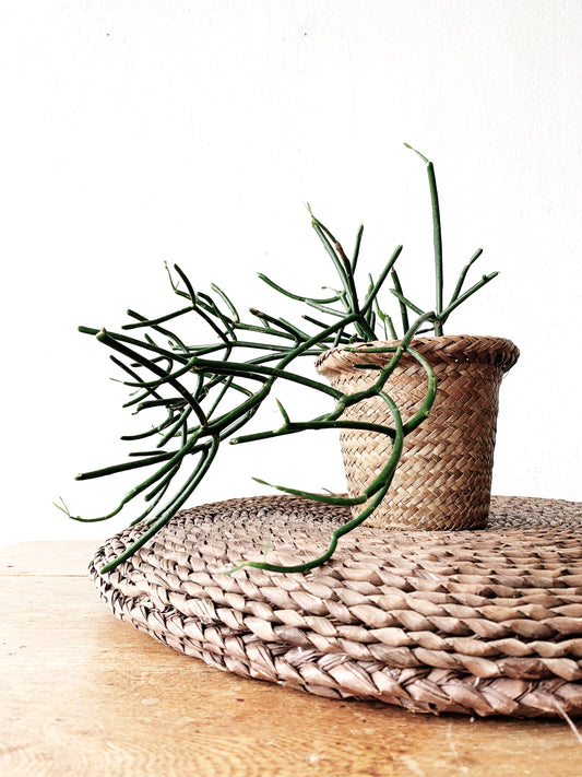 Natural Woven Cushion