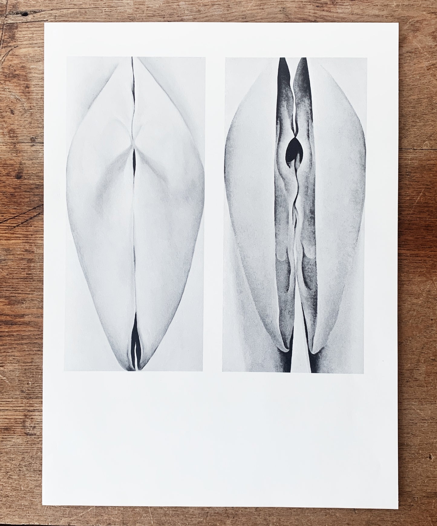 Vintage Georgia O’Keeffe Original 1970 Print