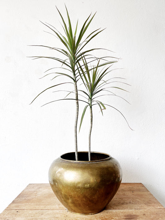 Large Vintage Brass Caché Pot