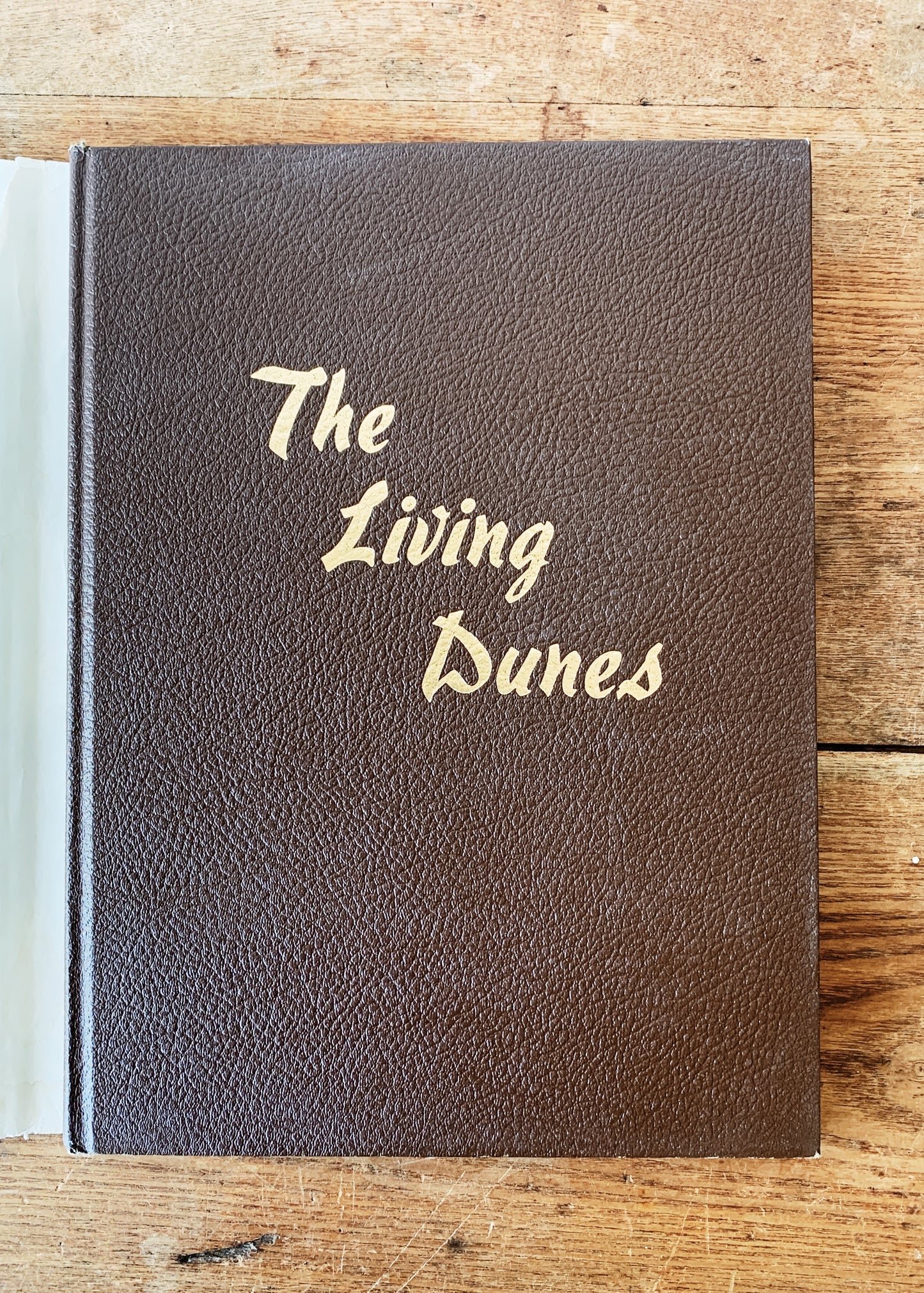 The Living Dunes Vintage Art Book