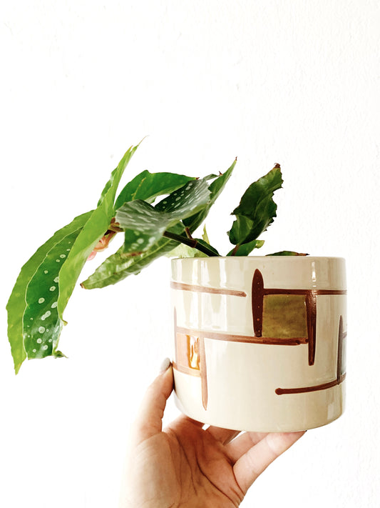 Mid Century Planter