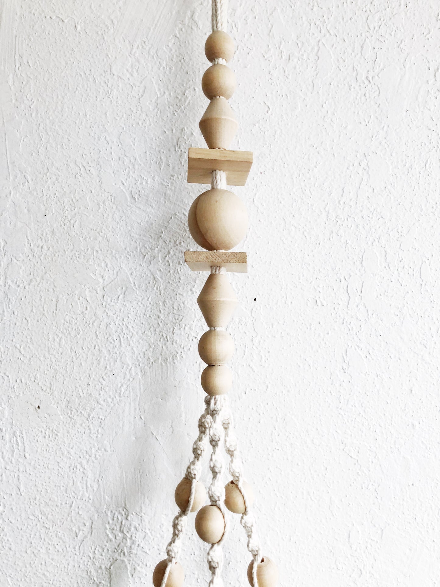 Monstera Adansonii in Macrame