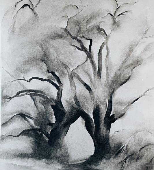 Vintage Georgia O’Keeffe Original 1970 Print