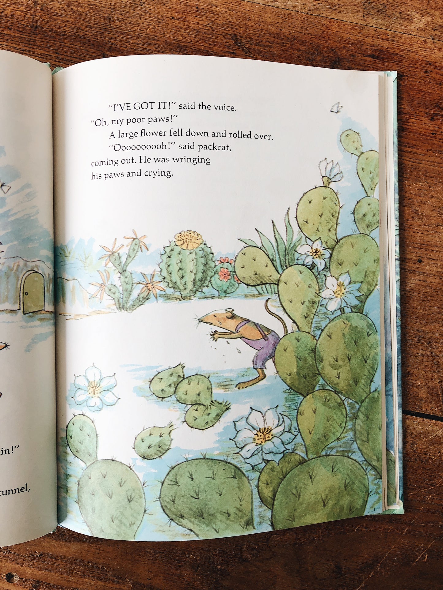 Vintage Children’s Book